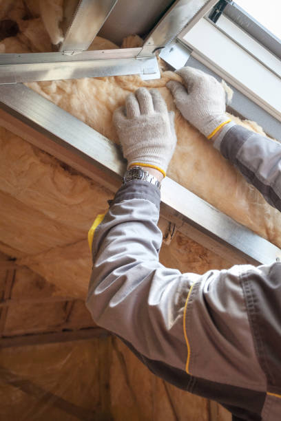 Best Insulation Maintenance and Repair in Glassmanor, MD